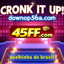 coelhinha do brasil
